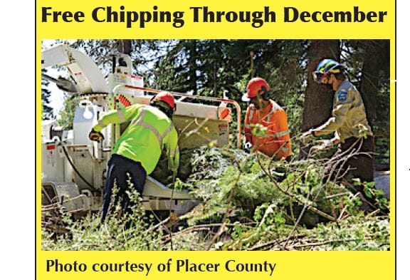 Workers using a chipper
