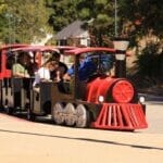 Mini Train Ride